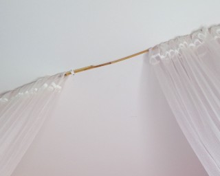 bamboo for canopy